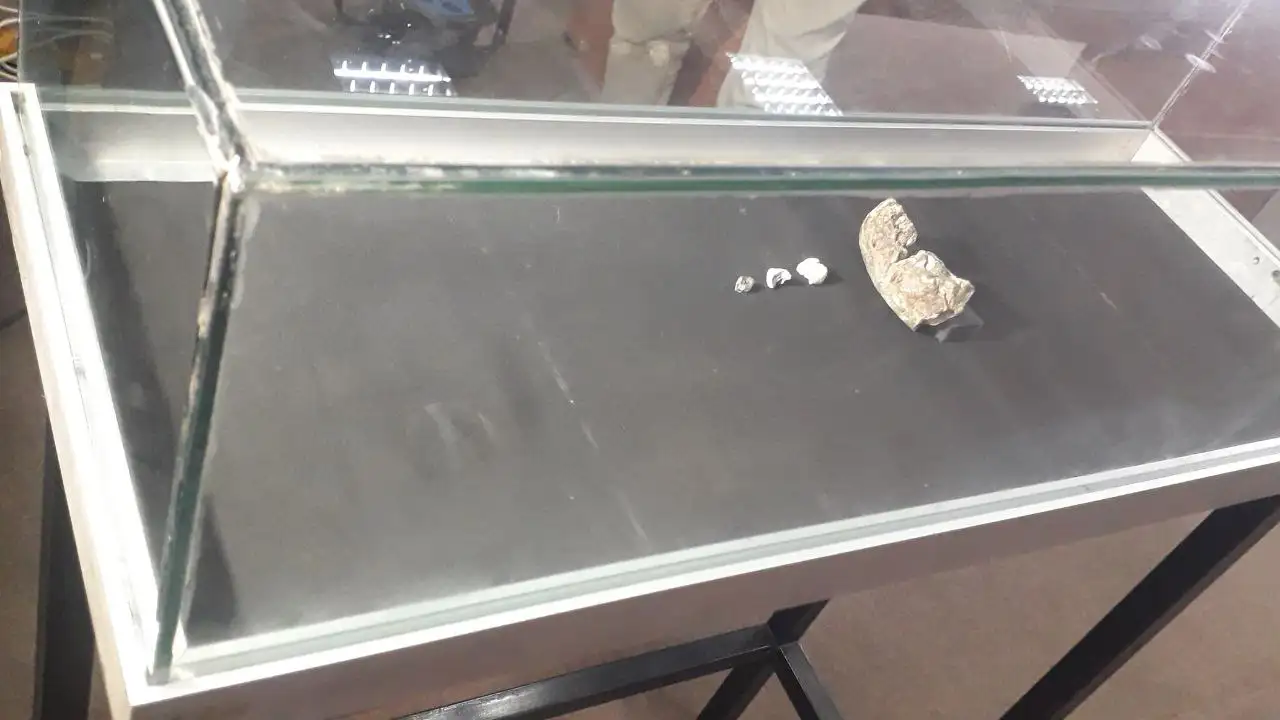 New 2.6-Million-Year-Old Hominid Fossil Discovered in Afar!